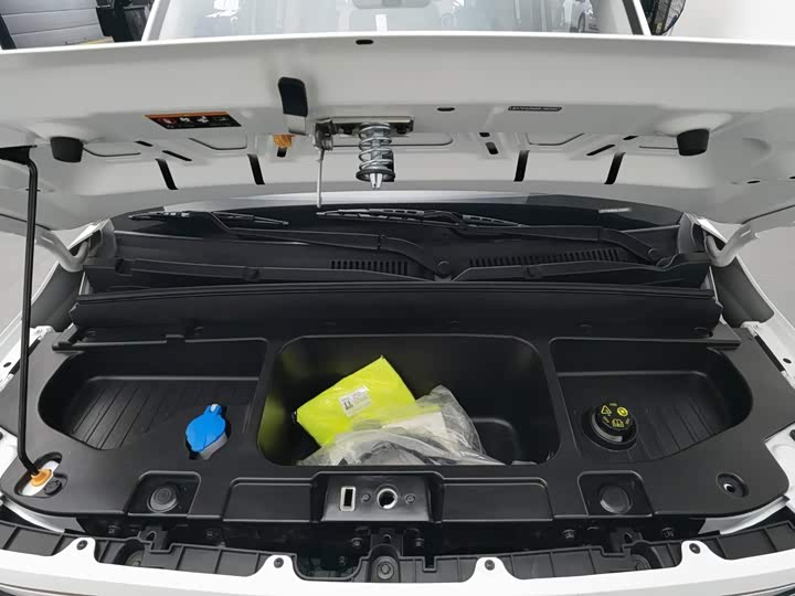 Geely Galaxy Panda Mini, 2024 — фото 6 из 9