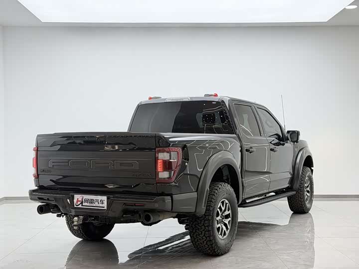 Ford F-150 Raptor, 2023 — фото 2 из 9