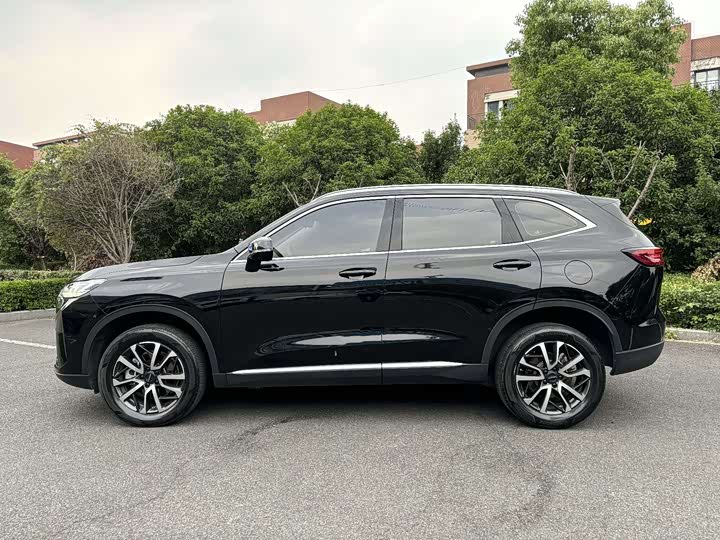Haval H6, 2022 — фото 4 из 9