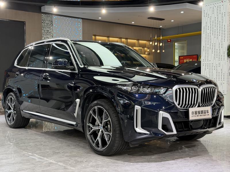 BMW X5, 2024 — фото 3 из 12