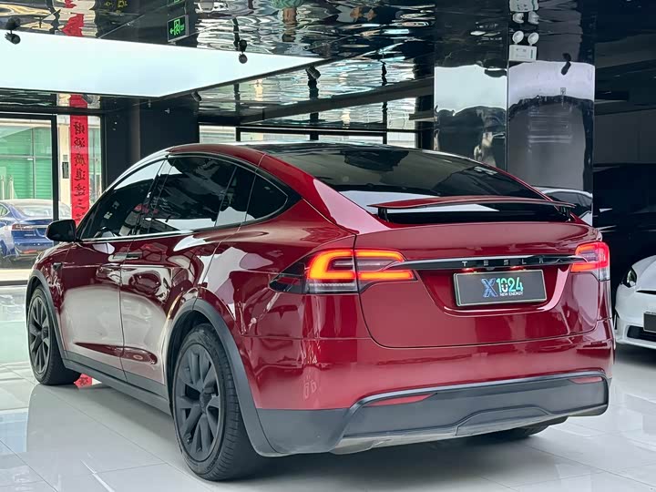 Tesla Model X, 2023 — фото 6 из 9