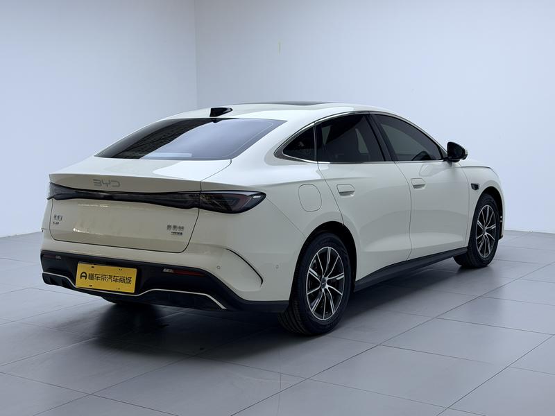 BYD Seal 06 Hybrid/EV, 2024 — фото 7 из 12
