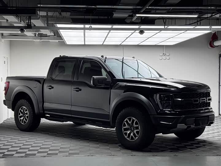 Ford F-150 Raptor, 2023 — фото 3 из 9
