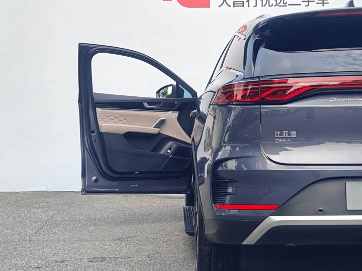 BYD Tang Hybrid/EV, 2024 — фото 8 из 9