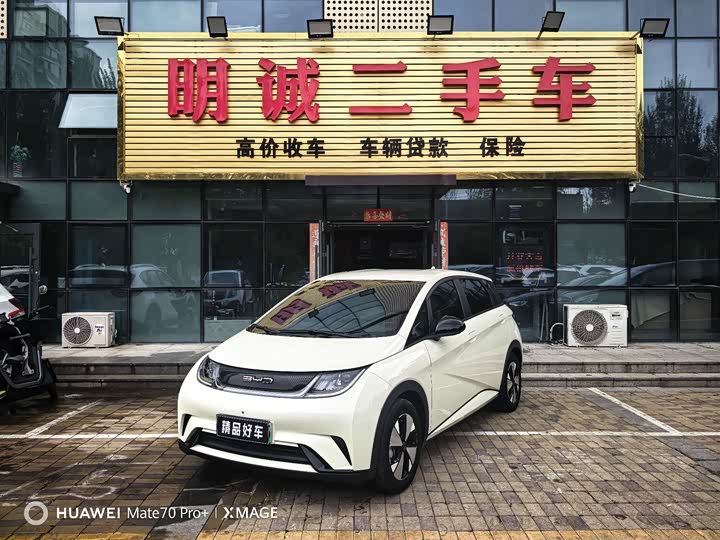 BYD Dolphin, 2023 — купить в Чебоксарах под ключ