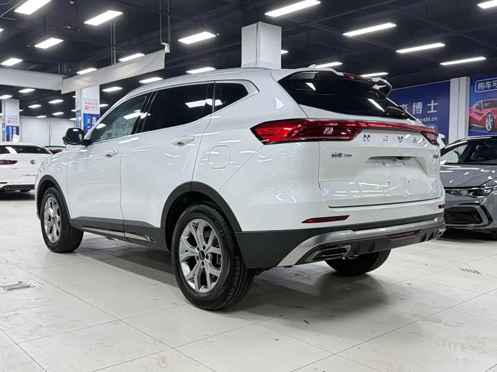 Haval H6, 2022 — фото 6 из 9