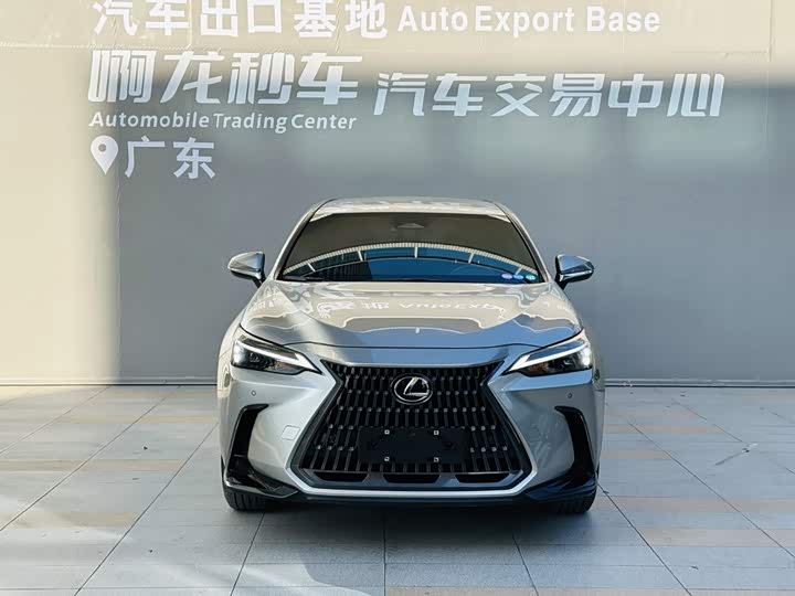 Lexus NX, 2024 — фото 2 из 9