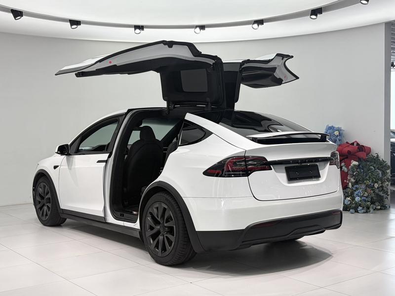 Tesla Model X, 2023 — фото 4 из 11