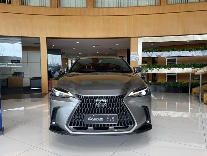 Lexus NX Hybrid, 2023 — фото 2 из 9