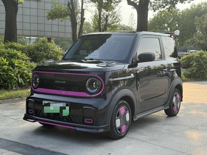 Geely Galaxy Panda Mini, 2024 — купить в Владимире под ключ