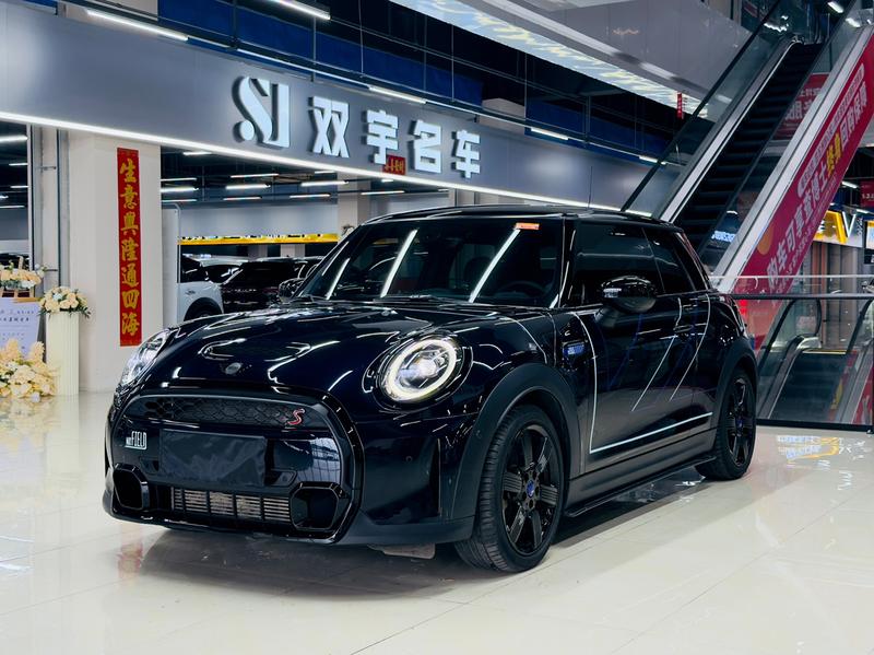 Mini Mini, 2023 — купить в Саранске под ключ
