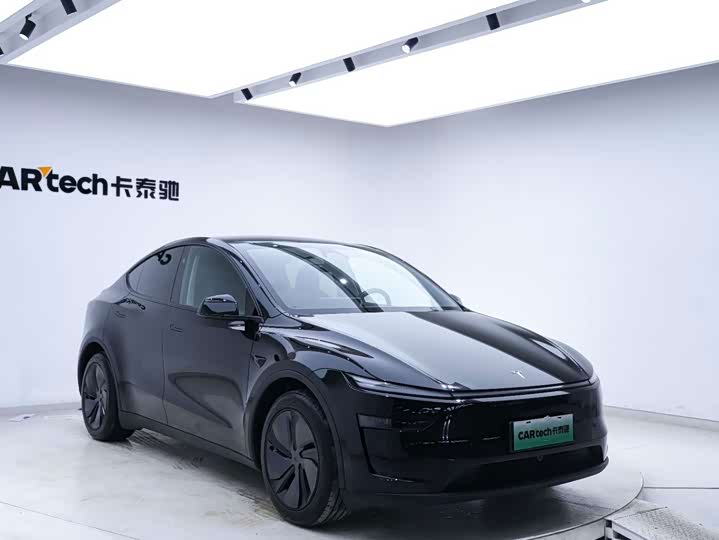 Tesla Model Y, 2025 — фото 7 из 9