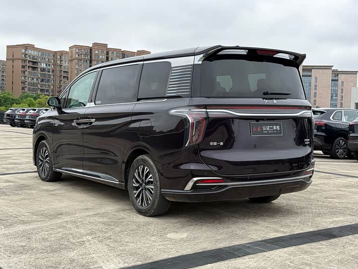 Hongqi HQ9 Hybrid, 2024 — фото 6 из 9