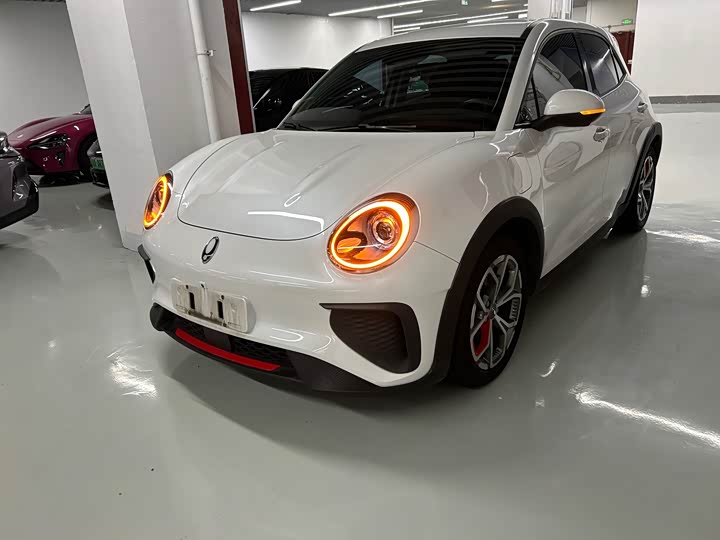 Ora Good Cat GT (03 GT), 2023 — купить в Саранске под ключ
