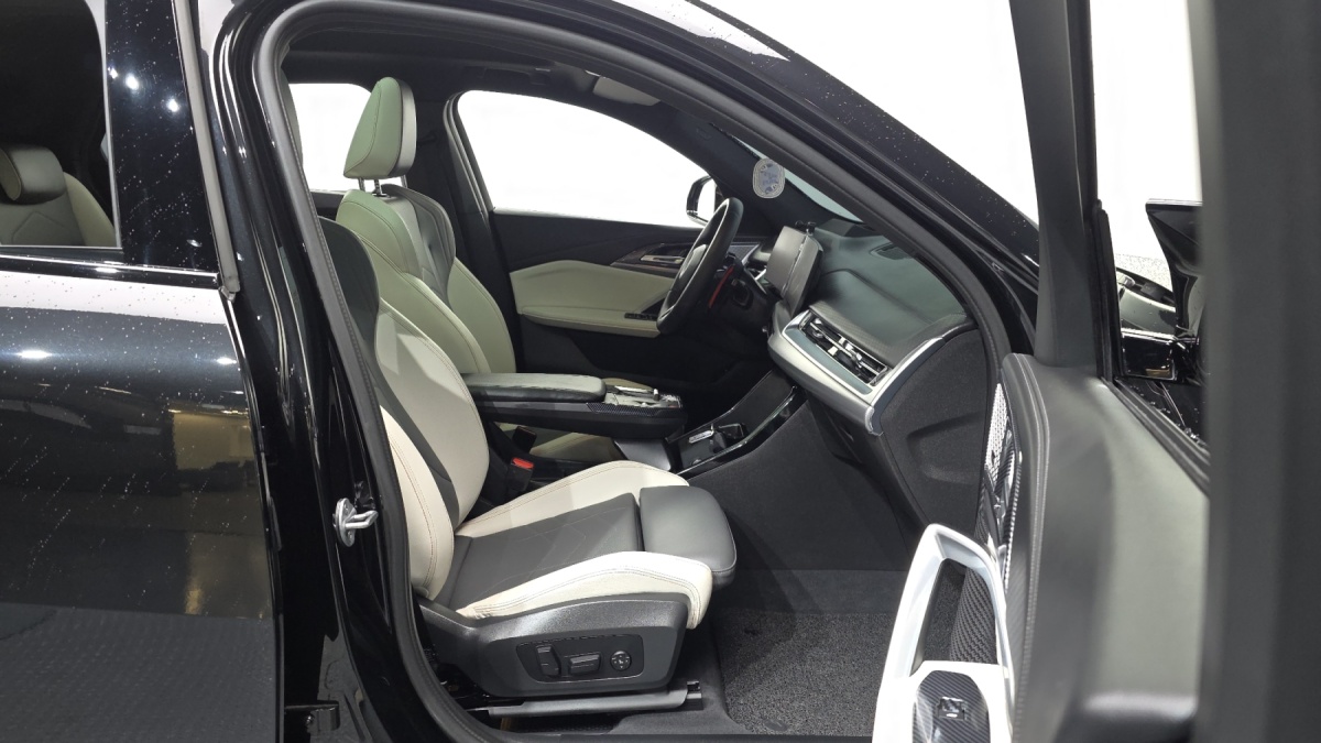 BMW X2 (F39), 2025 — фото 11 из 12