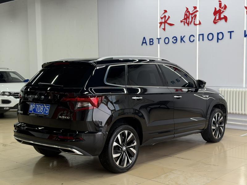 Skoda Karoq, 2023 — фото 6 из 12