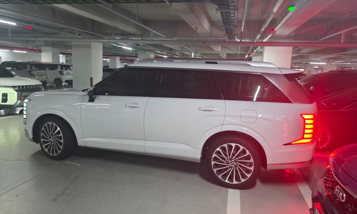 Hyundai Palisade, 2024 — фото 3 из 7