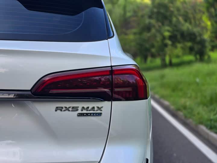 Roewe RX5 Max, 2023 — фото 7 из 9