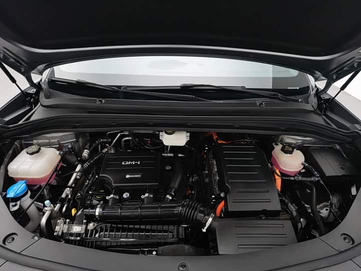 BYD Song L DM-i Hybrid, 2024 — фото 6 из 9