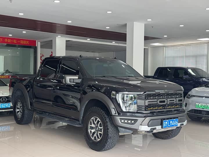Ford F-150 Raptor, 2023 — фото 3 из 9
