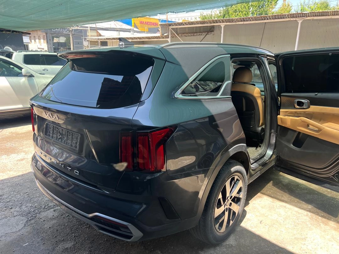 Kia Sorento, 2021 — фото 10 из 12