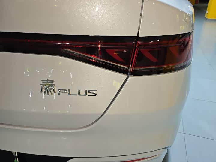 BYD Qin Plus, 2024 — фото 8 из 9