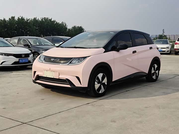 BYD Dolphin, 2023 — купить в Самаре под ключ
