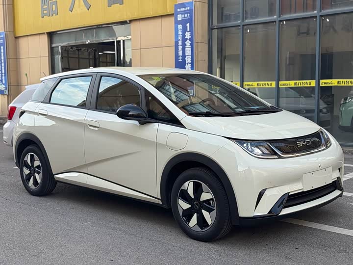 BYD Dolphin, 2026 — купить в Санкт-Петербурге под ключ