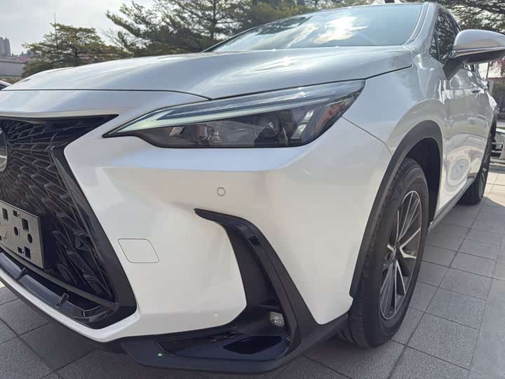 Lexus NX, 2021 — фото 4 из 9