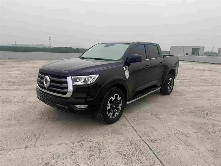 Great Wall Pao, 2022 — купить в Саранске под ключ