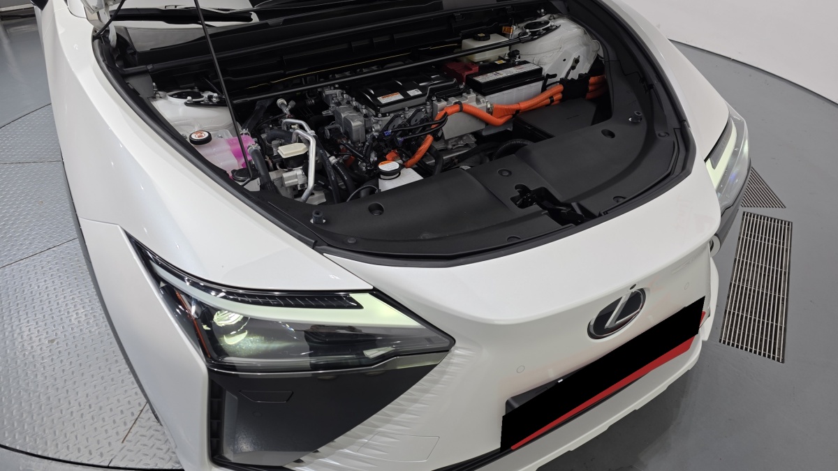 Lexus RZ, 2023 — фото 6 из 12