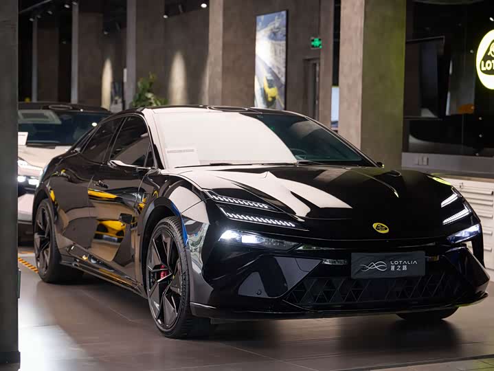 Lotus Emeya, 2024 — купить в Нижнем Новгороде под ключ