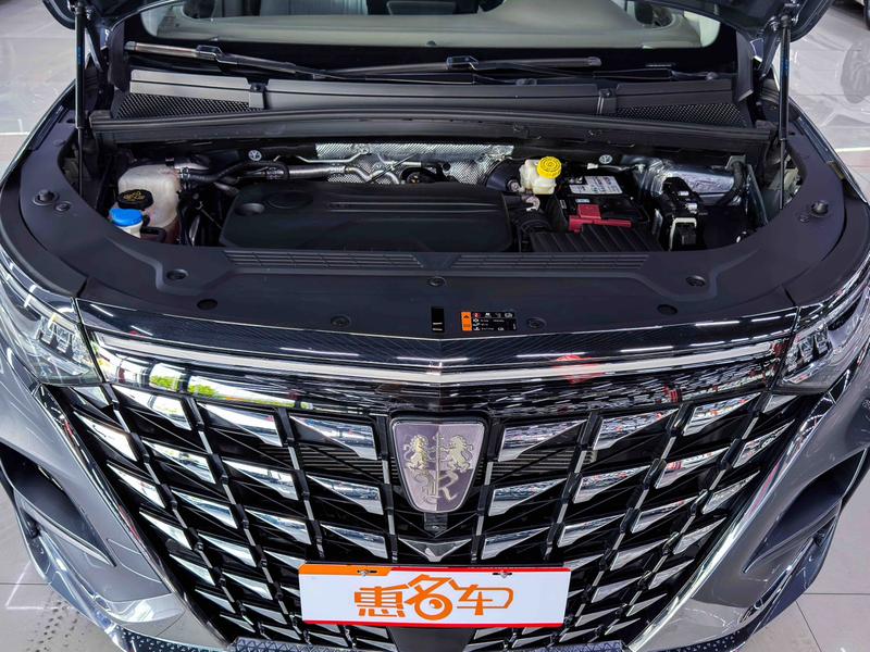 Roewe iMax 8, 2024 — фото 5 из 12