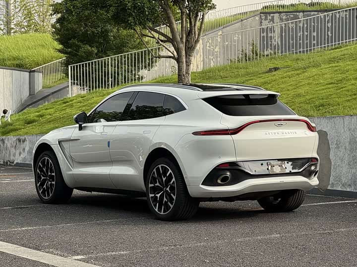 Aston Martin DBX, 2022 — фото 9 из 9
