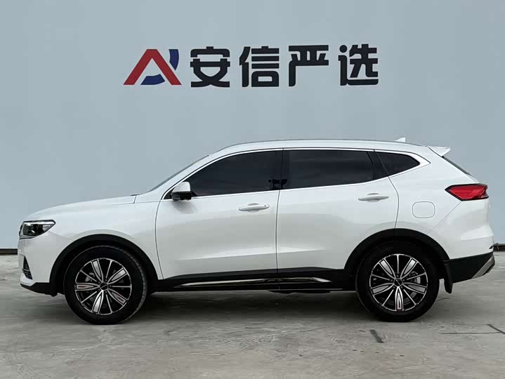 Haval H6, 2023 — фото 9 из 9