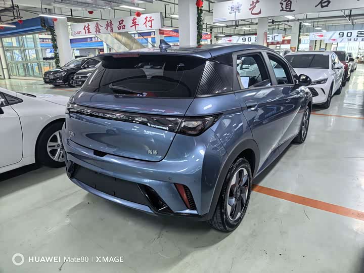 BYD Dolphin, 2025 — фото 4 из 9