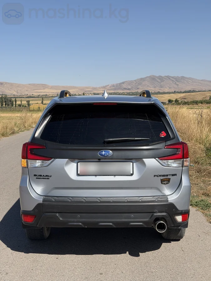 Subaru Forester, 2022 — фото 4 из 7
