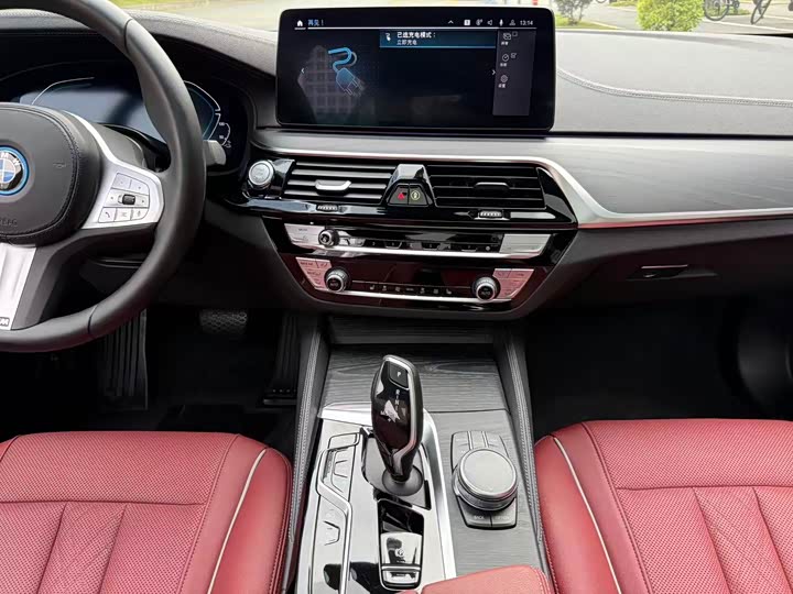 BMW 5 Series Hybrid, 2022 — фото 9 из 9