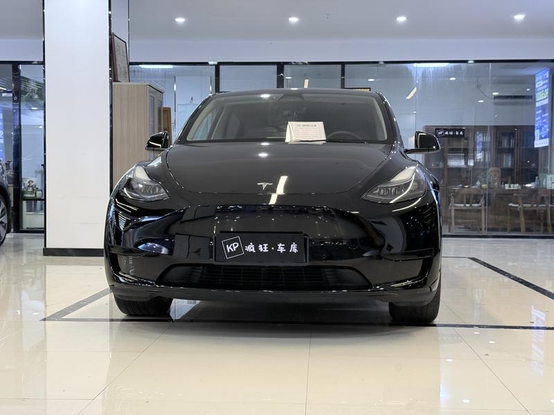 Tesla Model Y, 2022 — фото 2 из 9