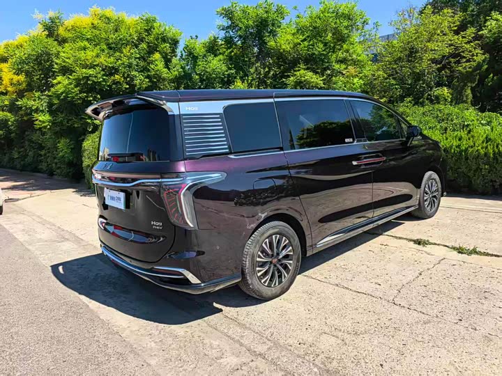 Hongqi HQ9 Hybrid, 2024 — фото 2 из 9