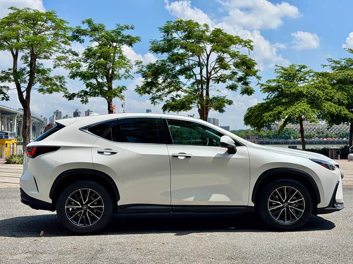 Lexus NX, 2024 — фото 6 из 9