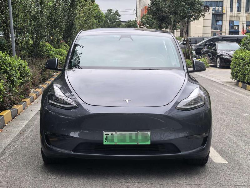 Tesla Model Y, 2021 — фото 2 из 11