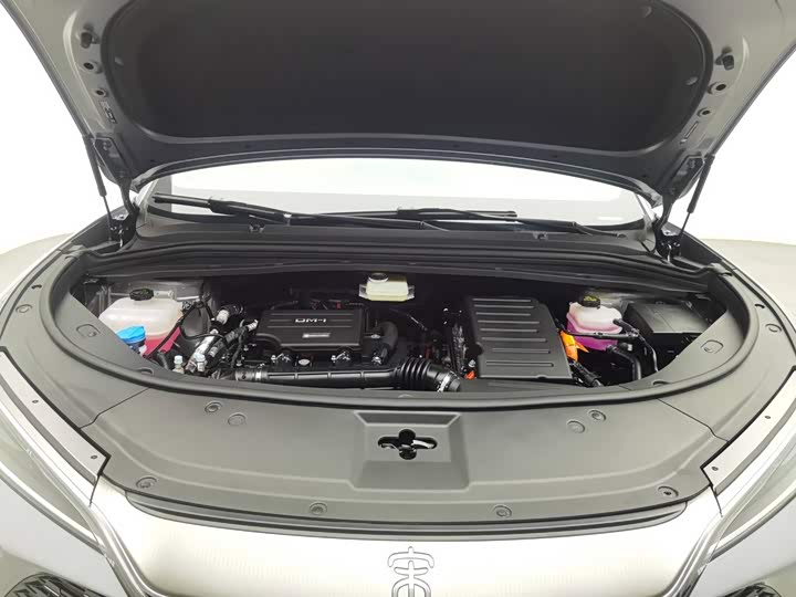 BYD Song L DM-i Hybrid, 2025 — фото 6 из 9