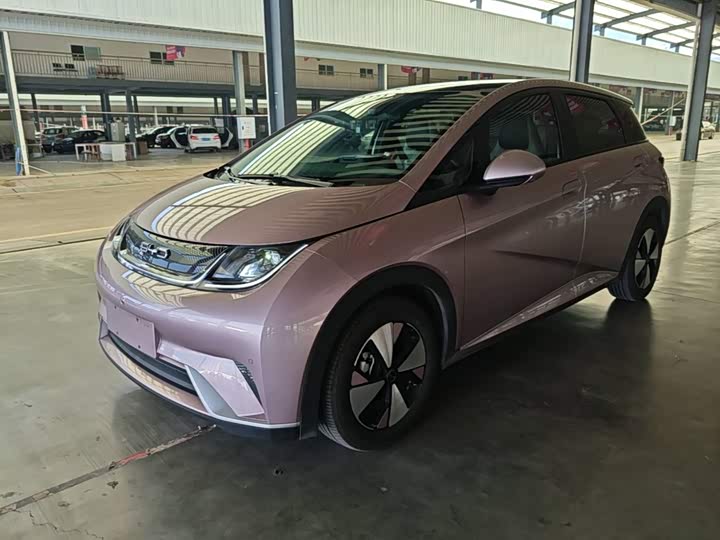 BYD Dolphin, 2023 — купить в Москве под ключ