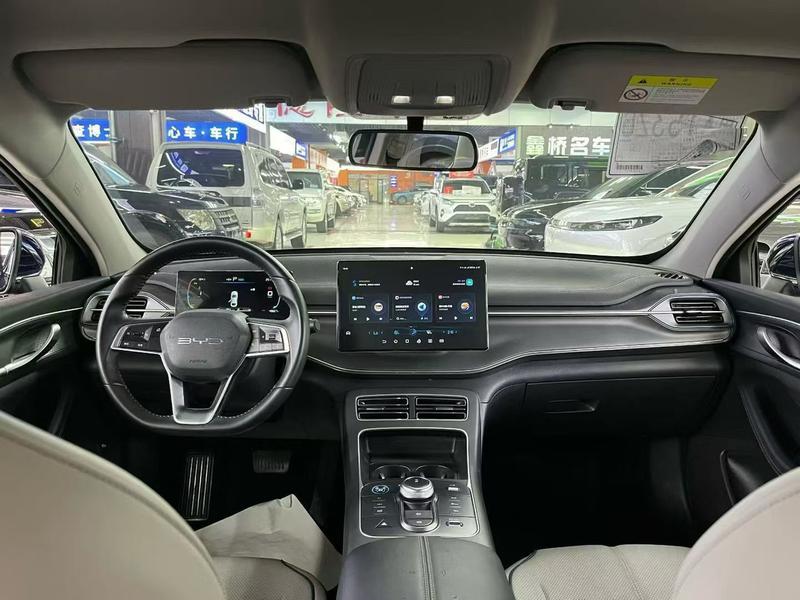 BYD Destroyer 05, 2024 — фото 7 из 10