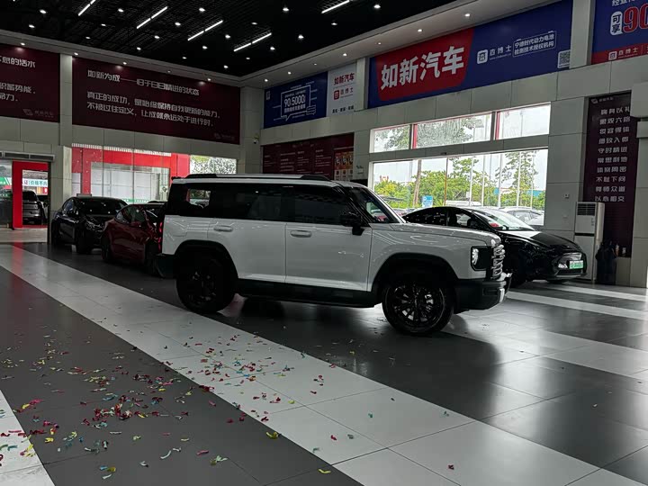 Haval Raptor Hybrid, 2024 — фото 3 из 9