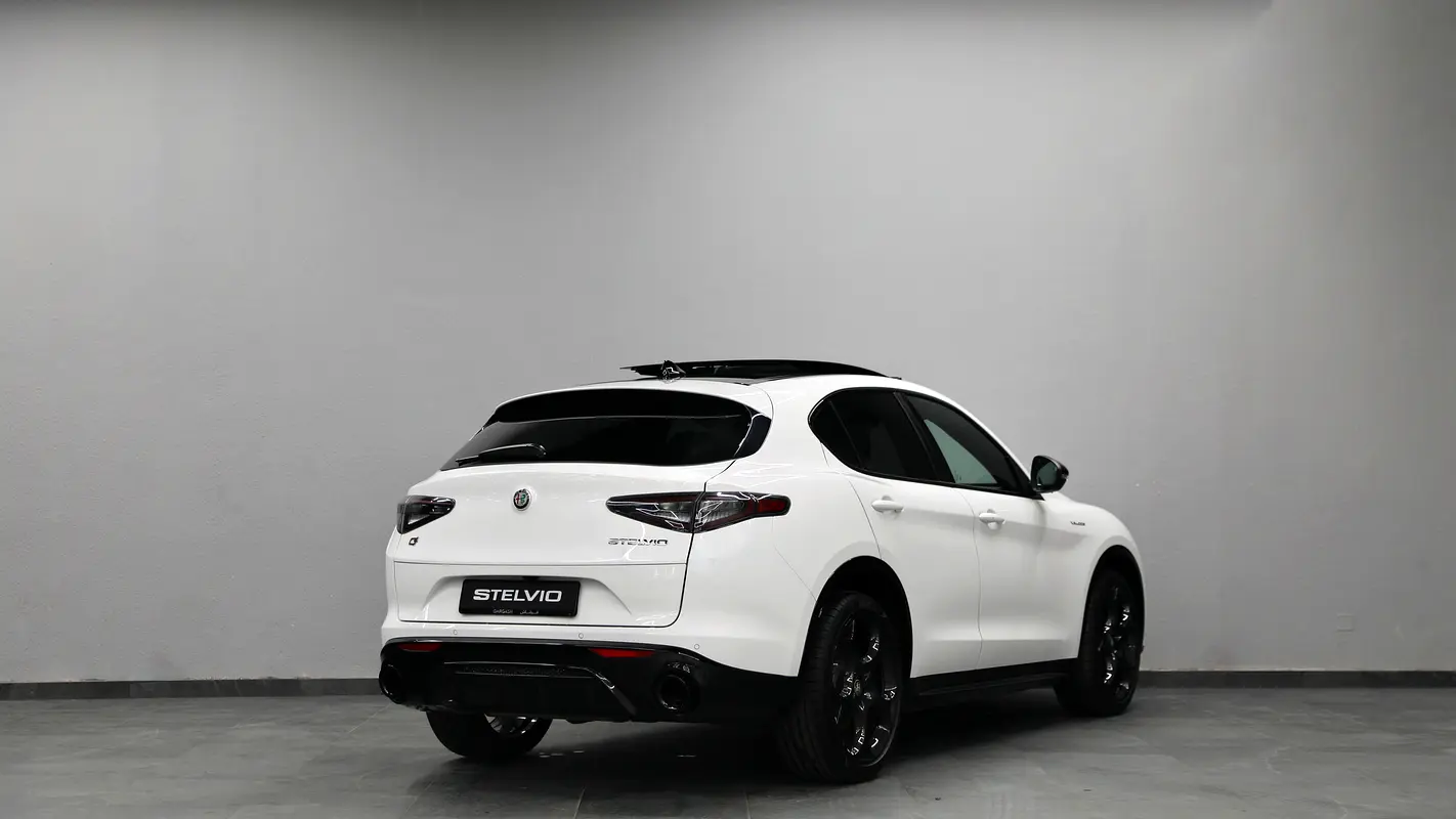 Alfa Romeo Stelvio, 2025 — фото 6 из 10