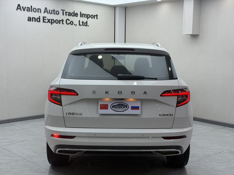 Skoda Karoq, 2022 — фото 5 из 12