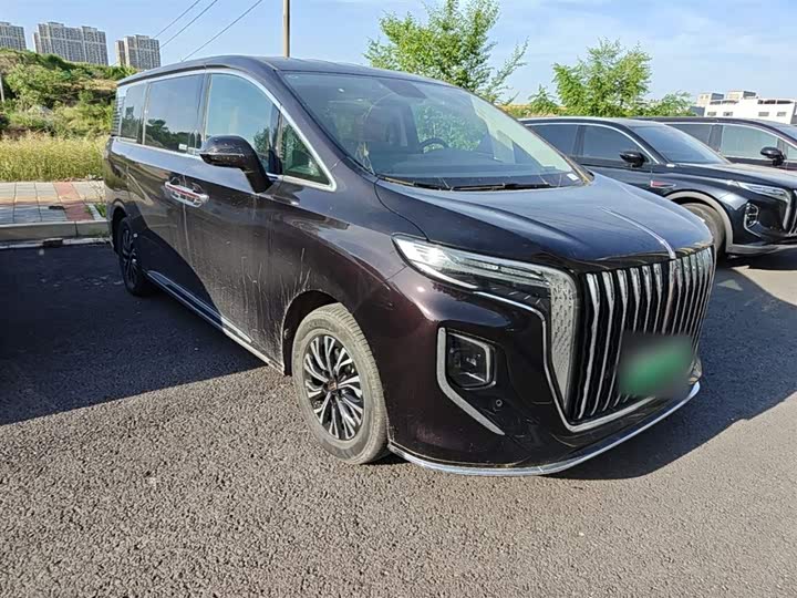 Hongqi HQ9 Hybrid, 2024 — фото 4 из 9