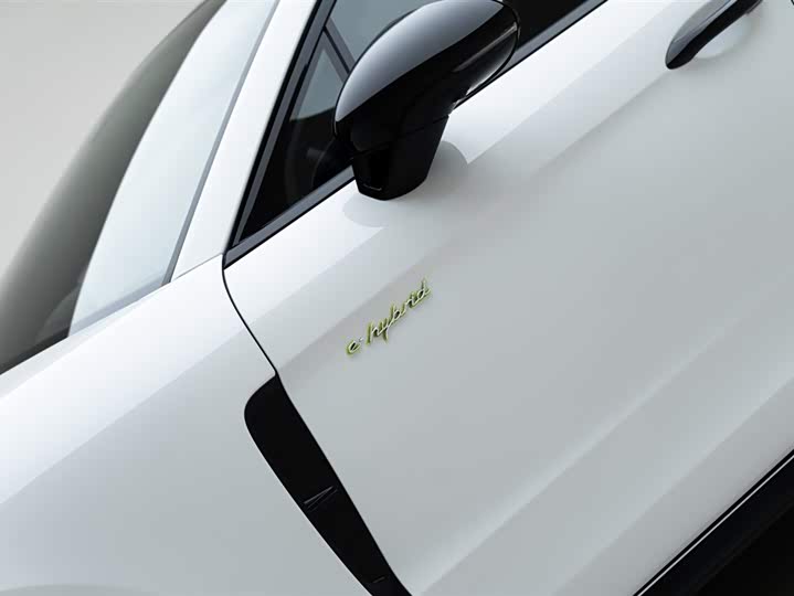Porsche Panamera Hybrid, 2021 — фото 6 из 9